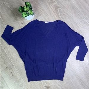 Eileen Fisher Blue V-Neck Dolman Sleeve Sweater